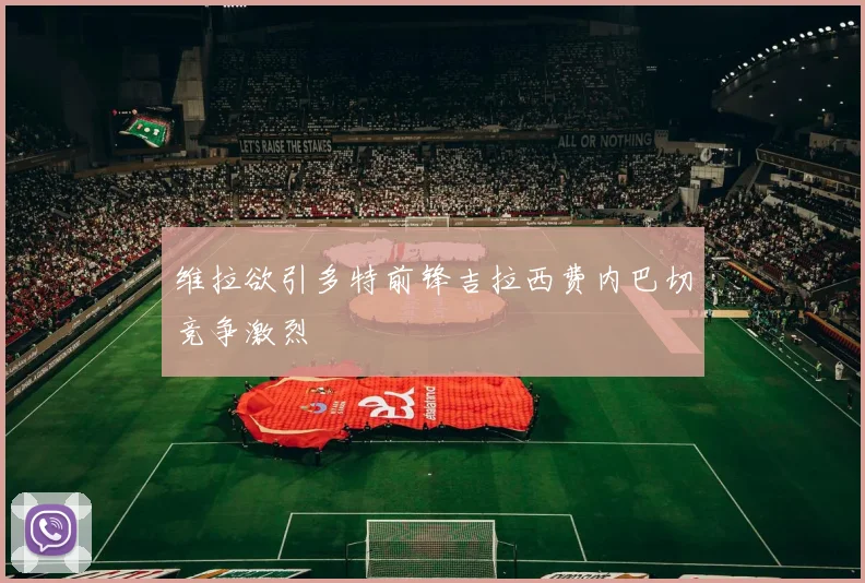 维拉欲引多特前锋吉拉西费内巴切竞争激烈