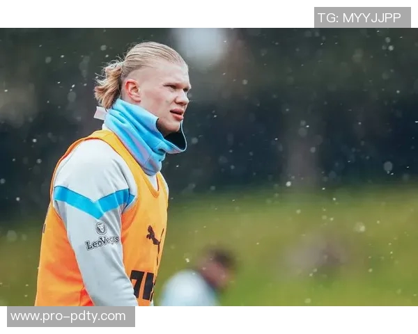 哈兰德夏令时前单赛季进球15创英超历史仅希勒曾达成此壮举